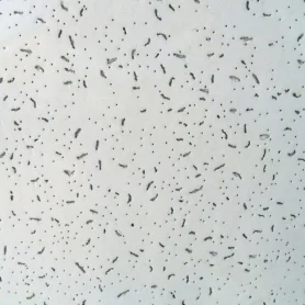 Панель потолочная Ангара 600х600х7мм 1шт