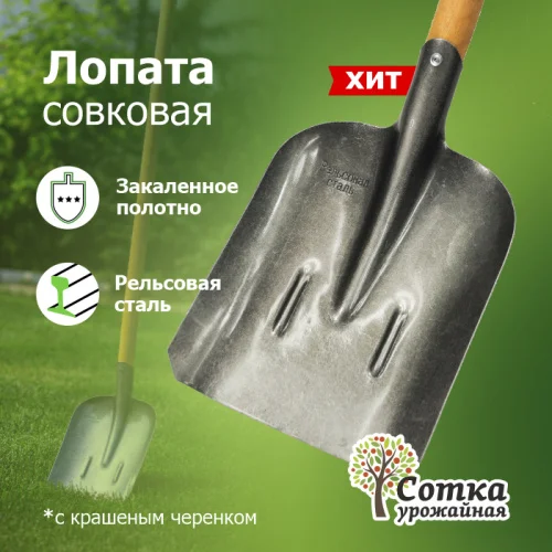 Лопата совковая ЛСП рельс.сталь `Урожайная сотка` с ребр жест с краш дер чер S504-3 О0518  1