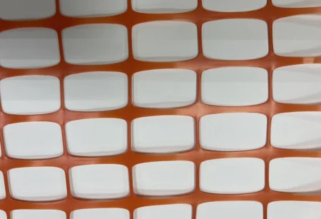 647